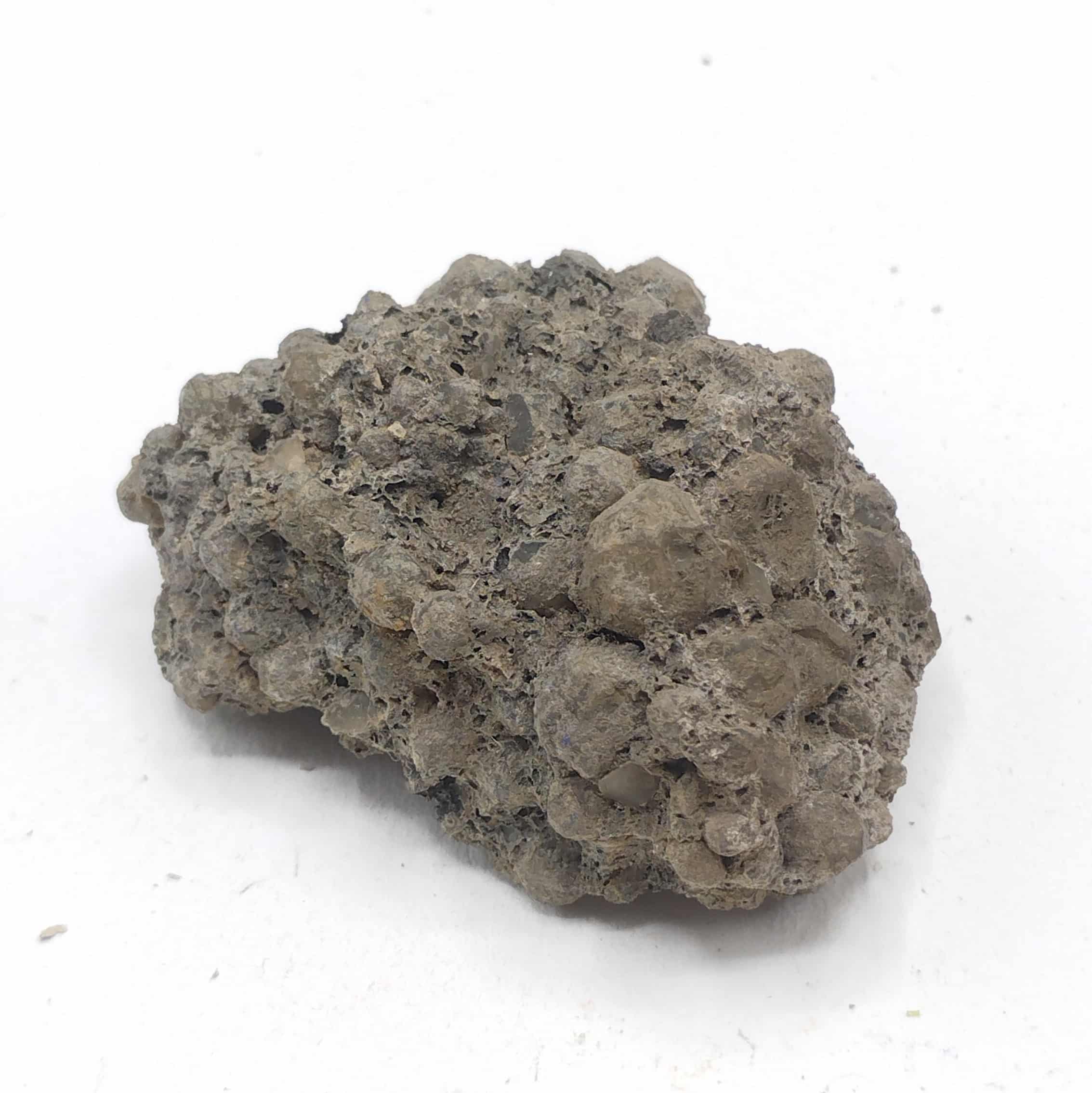 Leucite, Latium, Italie.