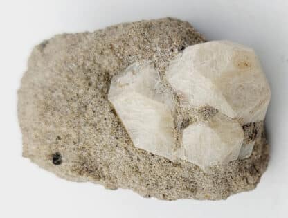 Leucite, Roccamonfina, Caserte, Campanie, Italie.