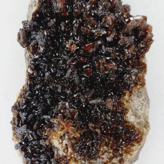 Descloizite, Berg Aukas, Namibie.