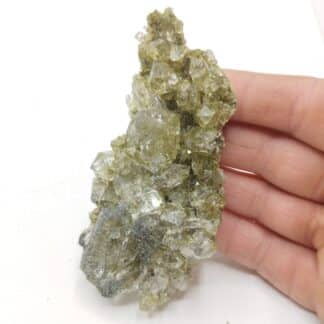 Quartz, Epidote & Chlorite, Arvigo, Grisons, Suisse.