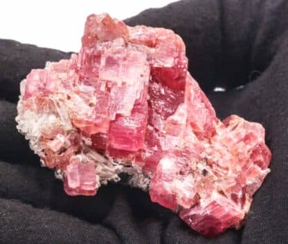 Rhodochrosite, Sweet Home Mine, Colorado, USA.