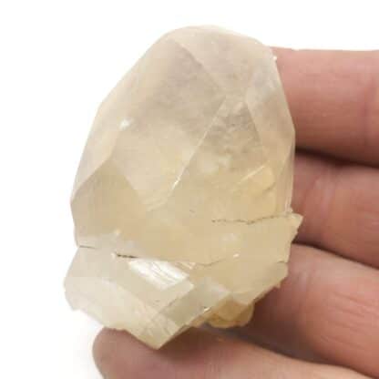 Calcite, Trèves, Gard.