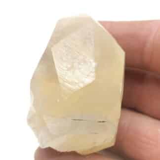 Calcite, Trèves, Gard.