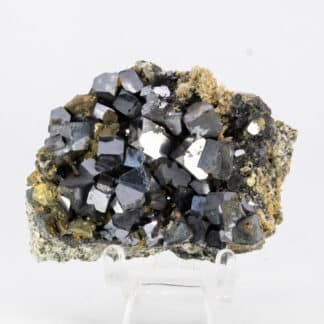 Galène et Chalcopyrite, Madan, Bulgarie.