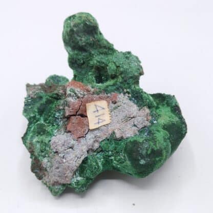 Malachite, Mashamba, Katanga, Congo (RDC).