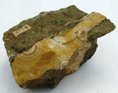 Natrolite en Gerbes Hohentwiel, Bade-Wurtemberg,  Allemagne.