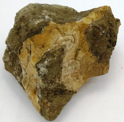 Natrolite, Hohentwiel, Bade-Wurtemberg,  Allemagne.