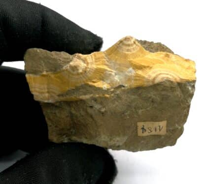 Natrolite, Hohentwiel, Bade-Wurtemberg,  Allemagne.