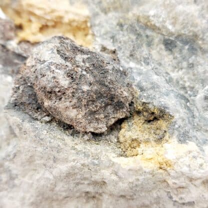Arsenic natif, Gabe Gottes, Sainte-Marie-aux-Mines, Haut-Rhin.