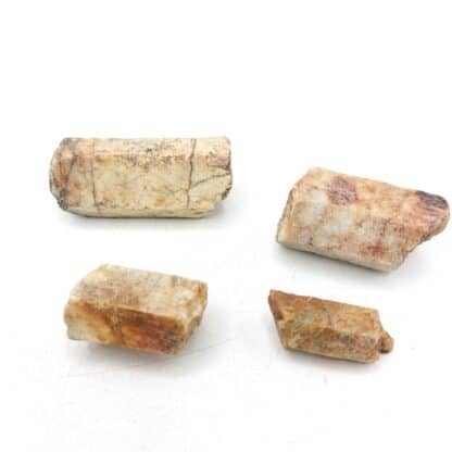 Béryl (lot de 4), La Vilatte, Chanteloube, Ambazac, Haute-Vienne.