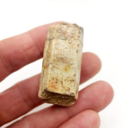 Béryl (lot de 4), La Vilatte, Chanteloube, Ambazac, Haute-Vienne.