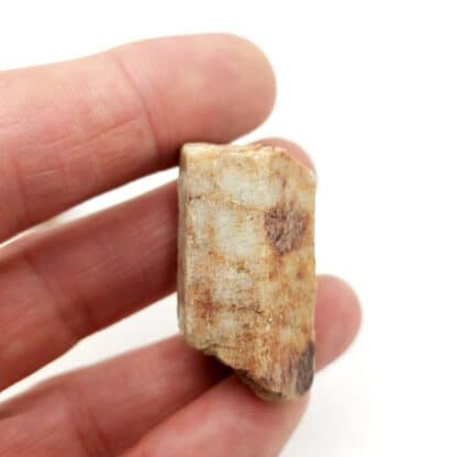 Béryl (lot de 4), La Vilatte, Chanteloube, Ambazac, Haute-Vienne.