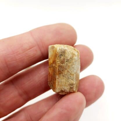 Béryl (lot de 4), La Vilatte, Chanteloube, Ambazac, Haute-Vienne.