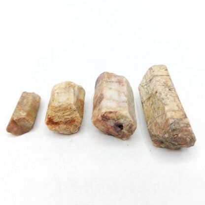 Béryl (lot de 4), La Vilatte, Chanteloube, Ambazac, Haute-Vienne.