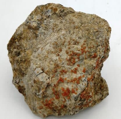 Wulfenite, Old Yuma mine, Arizona.