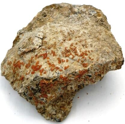 Wulfenite, Old Yuma mine, Arizona.
