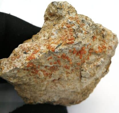 Wulfenite, Old Yuma mine, Arizona.