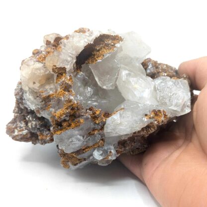 Calcite, Mexique.