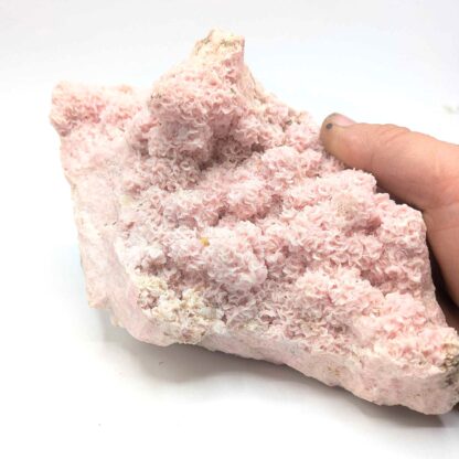 Rhodochrosite, Cavnic, Roumanie.