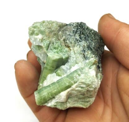 Diopside « Mussite », Pian de la Mussa, Piemont, Italie.