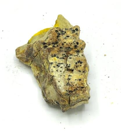 Bayldonite, Les Bayles, Cénomes, Aveyron.