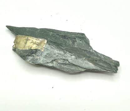 Pyrite « briquet », Fumay, Ardennes.