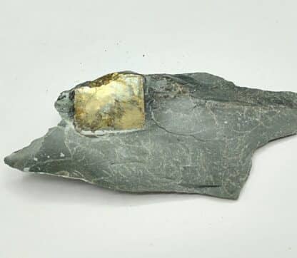 Pyrite « briquet », Fumay, Ardennes.