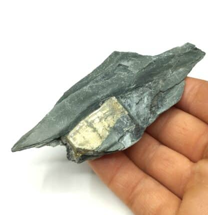 Pyrite « briquet », Fumay, Ardennes.