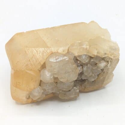 Calcite (Cristaux maclés), Mont-sur-Marchienne, Belgique.