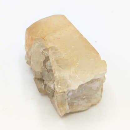 Calcite (Cristaux maclés), Mont-sur-Marchienne, Belgique.