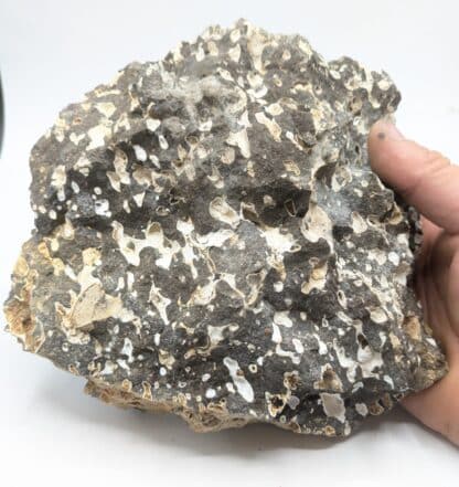Gonnardite, La Chaux de Bergonne, Gignat, Puy-de-Dôme, Auvergne.