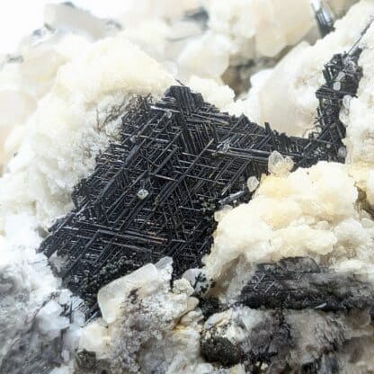 Fluorite (Fluorine), Le Rivet, Peyrebrune, Tarn.