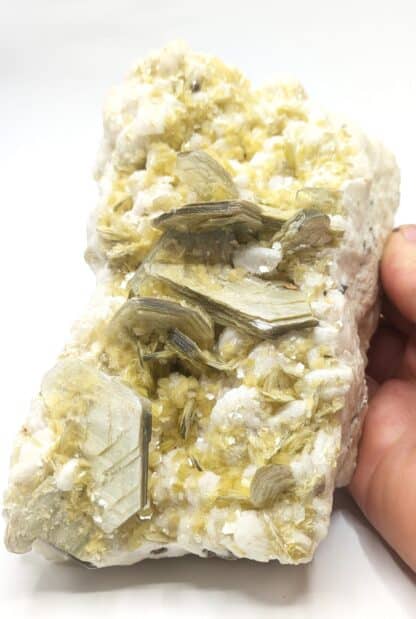 Muscovite (mica) sur Albite, Minas Gerais, Brésil.