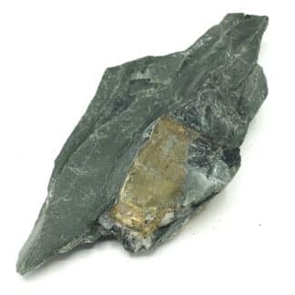 Pyrite « briquet », Fumay, Ardennes.