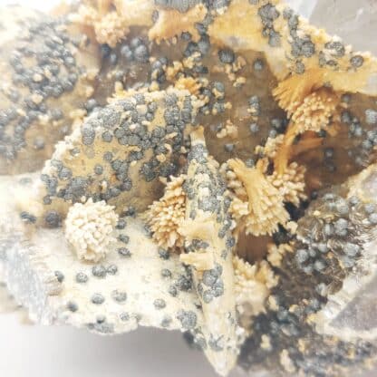 Quartz, Sidérite, Pyrite, Mines de Panasqueira, Portugal.