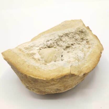 Pseudomorphose d’Oursin en Quartz, Fretigney, Haute-Saône.