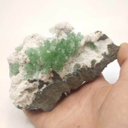 Apophyllite, Poona, Inde.
