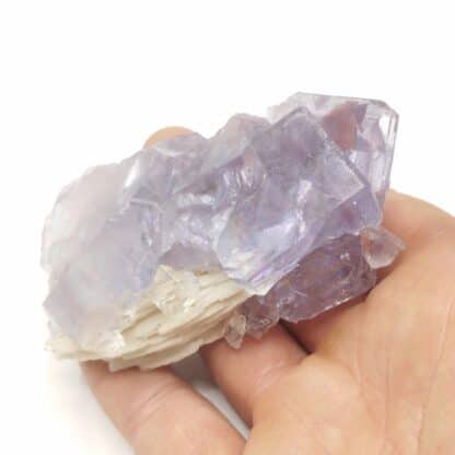 Fluorite (Fluorine) & Baryte, Berbès, Espagne.