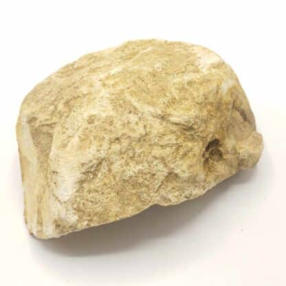 Pseudomorphose d’Oursin en Quartz, Fretigney, Haute-Saône.
