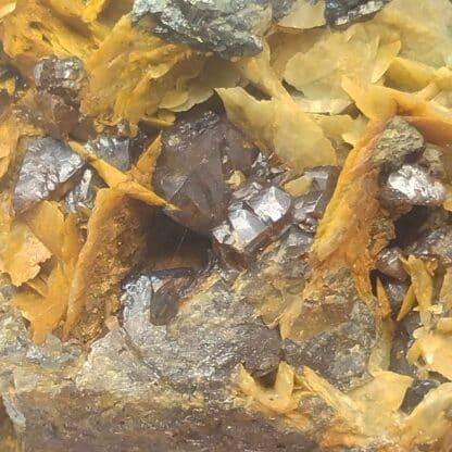 Tétraédrite, Blende (Sphalérite) & Mésitine (Sidérite), La Mure, Isère.