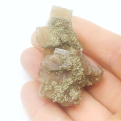 Fluorite & Pyrite, Mine de Fontsante, Var.