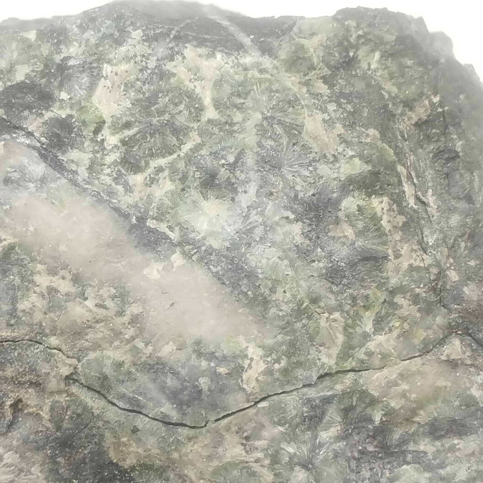 Wavellite, Pannecé, Loire-Atlantique.