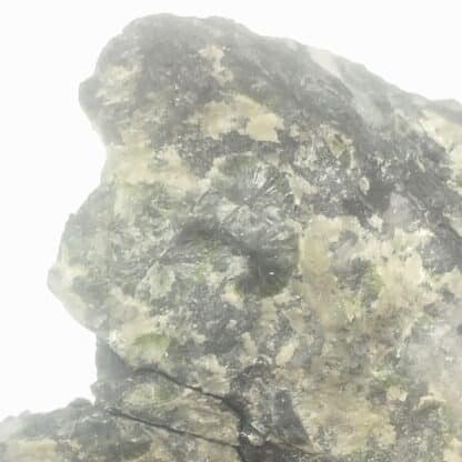 Wavellite, Pannecé, Loire-Atlantique.