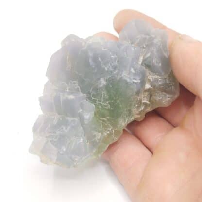 Fluorite (Fluorine), Vorderthal Alps, Schwyz, Suisse.
