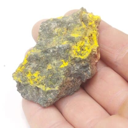 Bayleyite, Azegour, Maroc.