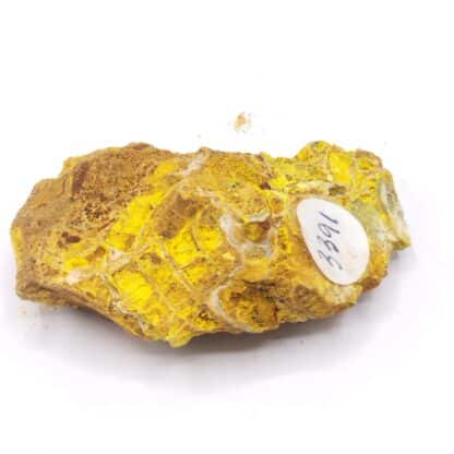 Dewindtite ps. Uraninite, Kerségalec-en-Lignol, Morbihan.