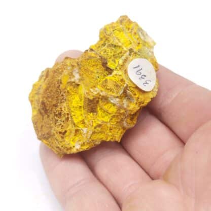 Dewindtite ps. Uraninite, Kerségalec-en-Lignol, Morbihan.