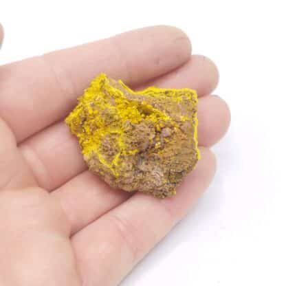 Soddyite, Swambo Hill, Katanga, Congo RDC.