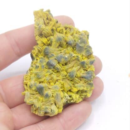 Autunite, Margnac, Haute-Vienne, Limousin.