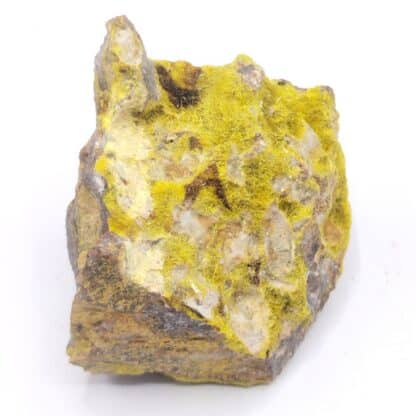 Uranophane (Uranotile), Les Bois Noirs, Forez, Puy-de-Dôme, Auvergne.